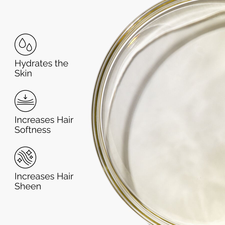100-organic-cold-pressed-moroccan-argan-oil-k7 FY25-D41247-ORD-Web-PDP-100-Argan-Oil-1x1-EN-3.jpg
